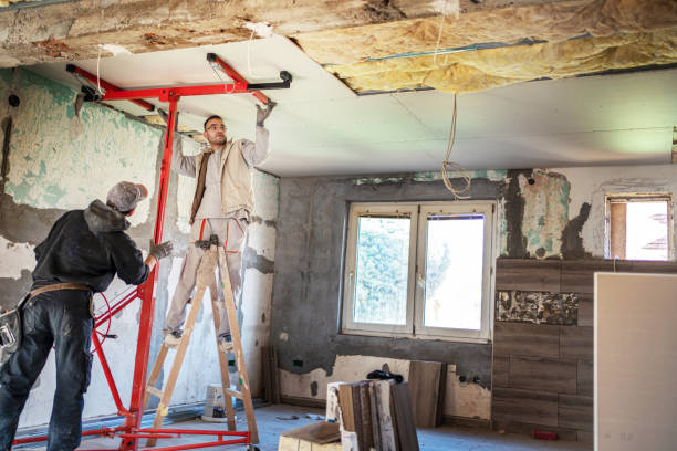 Best Residential Insulation in Toulon, IL