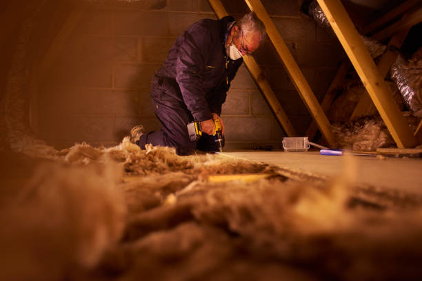 Best Insulation Maintenance and Repair in Toulon, IL