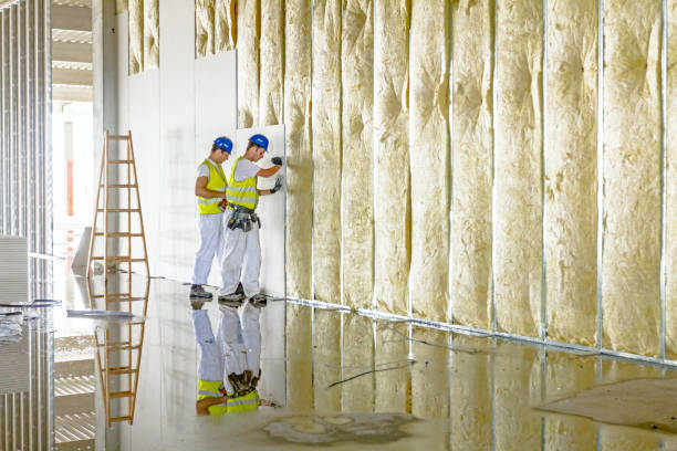 Best Insulation for Specific Applications in Toulon, IL